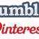 Pinterest et Tumblr, les nouveaux supports de communication